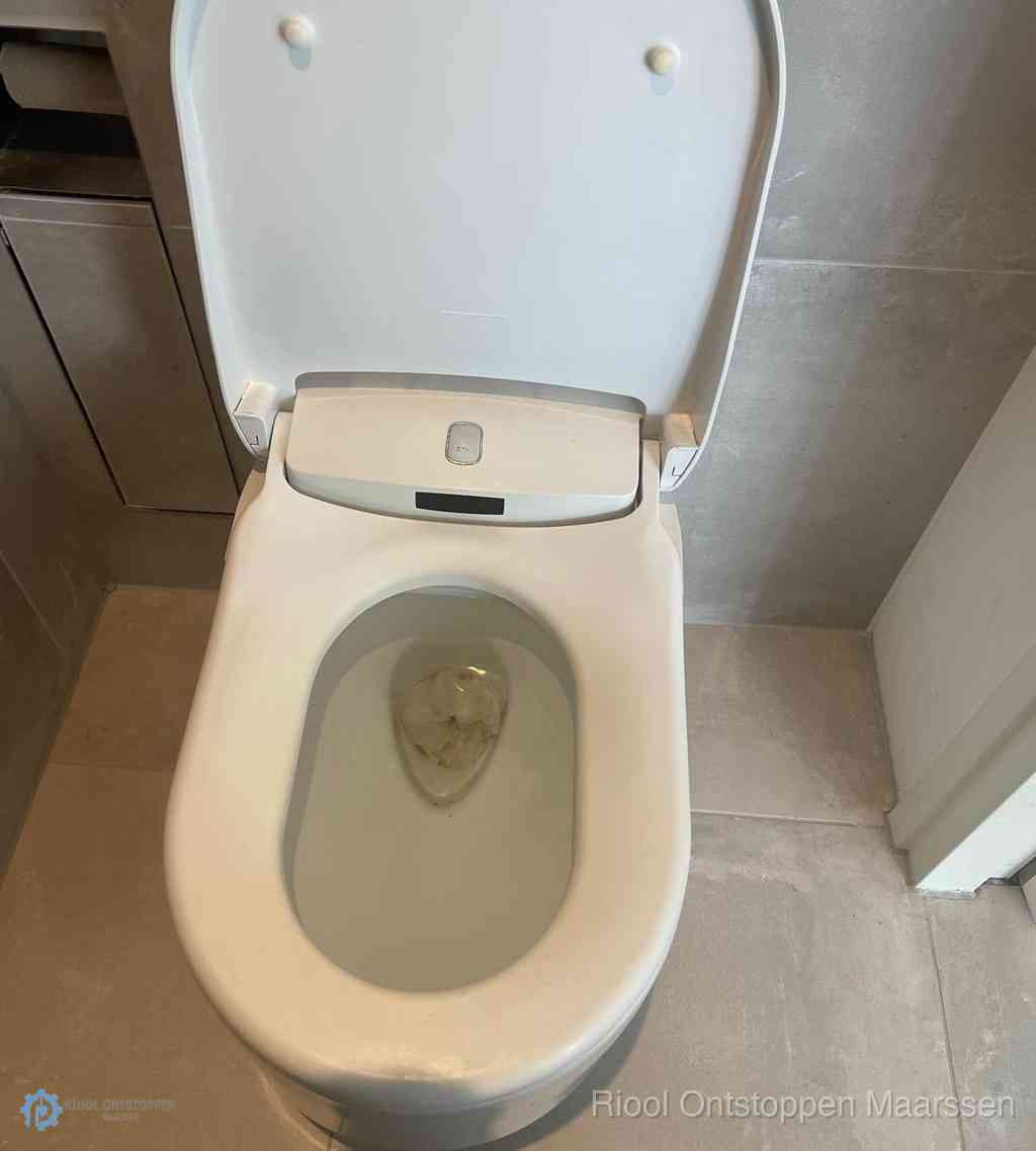 Toilet Ontstoppen Maarssen
